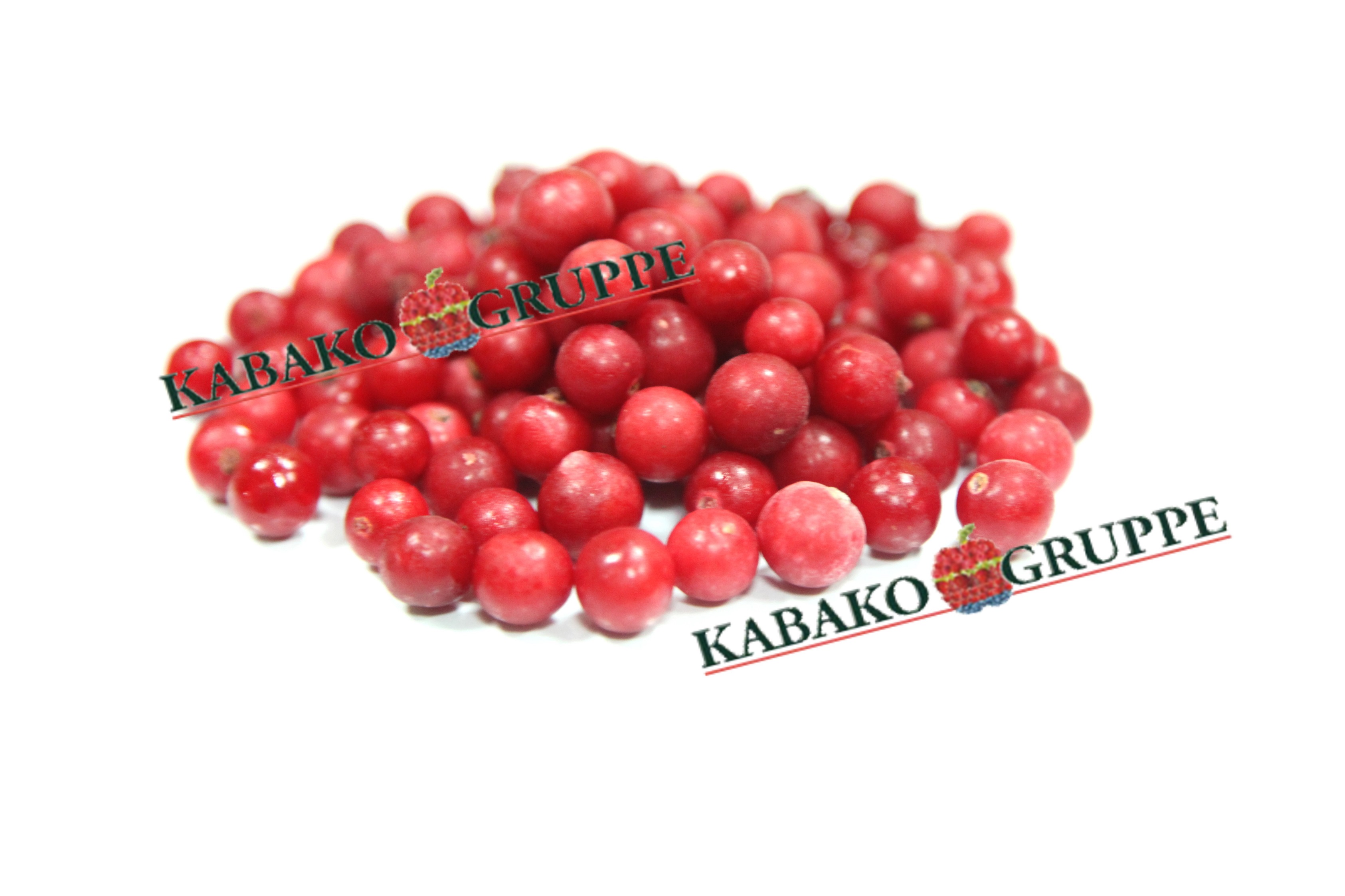 Frozen (IQF) Red Currants 23
